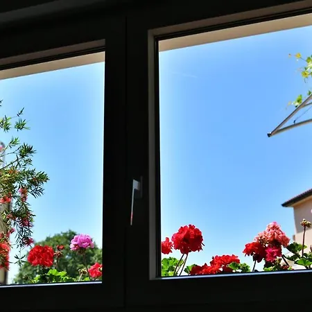 Mary 3 Guest house *